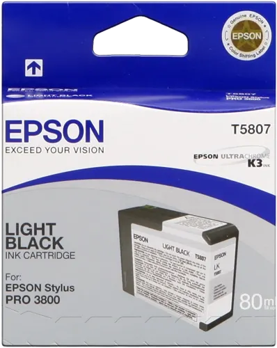 Epson T5807 lightblack Cartouche d'encre C13T580700 — Consommables informatiques