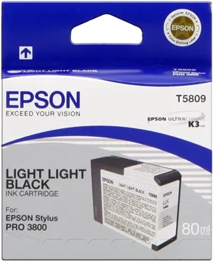 Epson T5809 lightlightblack Cartouche d'encre C13T580900 — Consommables informatiques