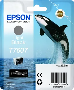 Epson T7607 lightblack Cartouche d'encre C13T76074010 — Consommables informatiques