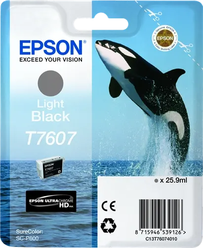 Epson T7607 lightblack Cartouche d'encre C13T76074010 — Consommables informatiques