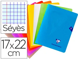 Cahier pique clairefontaine mimesys couverture poylpropylene 17x22cm 48 pages 90g seyes coloris assortis — Non classé