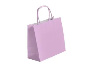 Sac kraft 90g/m2 poignees torsadees 18x8x22cm paquet 50 unites coloris rose clair — Non classé