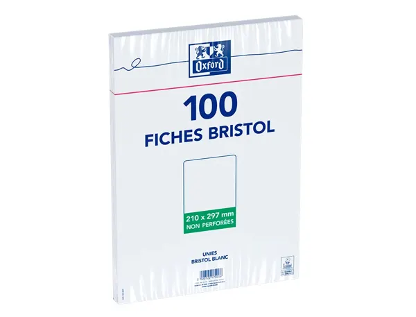 Fiche bristol universelle 210x297 bloc sac h.100 — Non classé