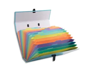 Trieur exacompta familial a poignee aquarel assortie 18   compartiments — Non classé