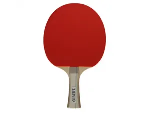 Raquettes tennis de table bois manche ergonomique       caoutchouc picots retournes   coloris assortis — Non classé