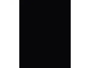 Papier affiche clairefontaine 60x80cm 90g coloris noir      paquet 25 feuilles — Non classé