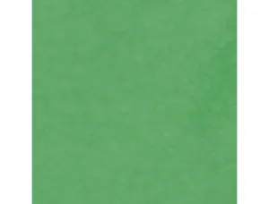 Papier de soie clairefontaine 50x75cm 18g coloris vert      rouleau 24 feuilles — Non classé