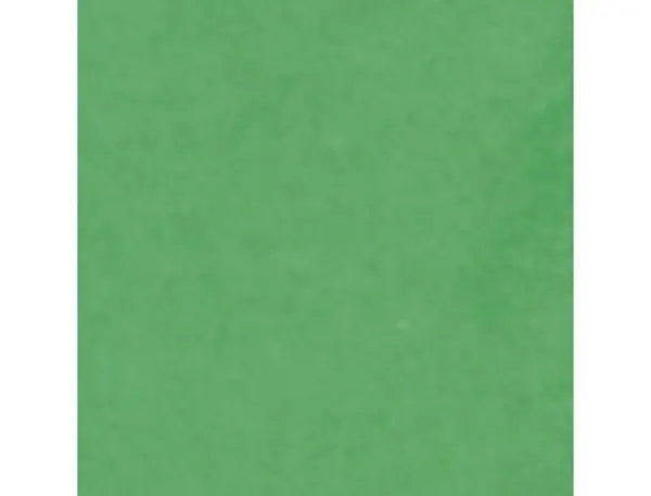 Papier de soie clairefontaine 50x75cm 18g coloris vert      rouleau 24 feuilles — Non classé