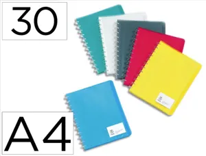 Protège-documents viquel propyglass géode semi-rigide 30 pochettes 60 vues document a4 coloris assortis — Non classé