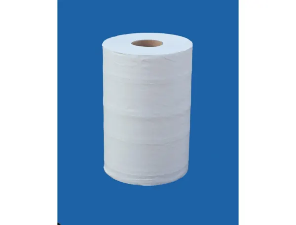 Bobines essuyage blanches 2 plis 150 formats format 25 x 19,5 cm longueur 37,5 m lot 2 éco — Non classé