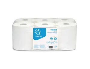 Bobines essuyage papernet dévidage central blanc 2 plis pure cellulose 450 formats longueur 108 m lot 6 — Non classé