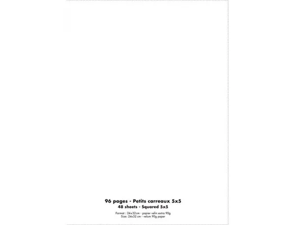 Cahier piqué conquérant classique couverture polypropylène rigide transparente a4+ 24x32cm 96 pages 90g 5x5 incolore — Non…