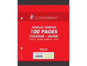 Feuillet mobile conquérant a5+ 170x220mm 100 pages 80g séyès perforé coloris jaune — Non classé
