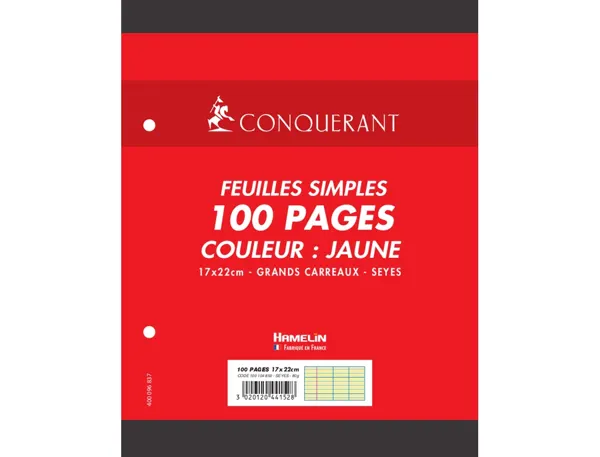 Feuillet mobile conquérant a5+ 170x220mm 100 pages 80g séyès perforé coloris jaune — Non classé