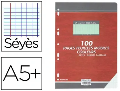Feuillet mobile conquérant a5+ 170x220mm 100 pages 80g séyès perforé coloris vert — Non classé