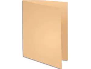 Chemise exacompta super carte 240x320mm 210g coloris pastel pack 100 unités — Non classé