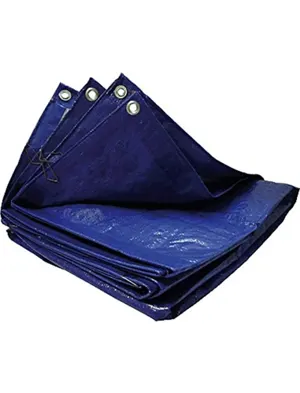 Bache viso polyethylene 48m2 8x6m coloris bleu — Non classé