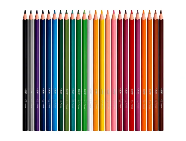 Crayons Couleur Bic Intensity Up Corps Triangulaire Pack De 24 — DESSIN SCOLAIRE ET PROFESSIONNEL — vue 6