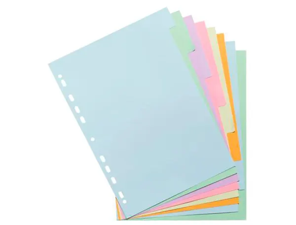 Intercalaire Exacompta Carte Forte 170 gr A4 8 Positions Coloris Pastel — Classement & archivage — vue 3