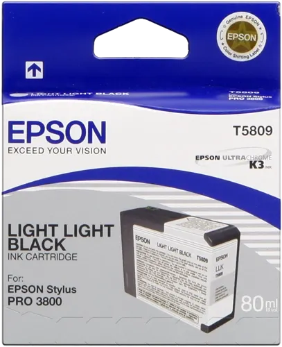 Epson T5809 lightlightblack Cartouche d'encre C13T580900 — Consommables informatiques