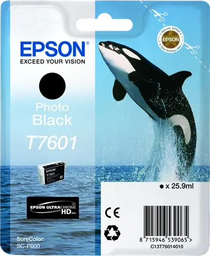 Epson T7601 Noir (photo) Cartouche d'encre C13T76014010 — Consommables informatiques