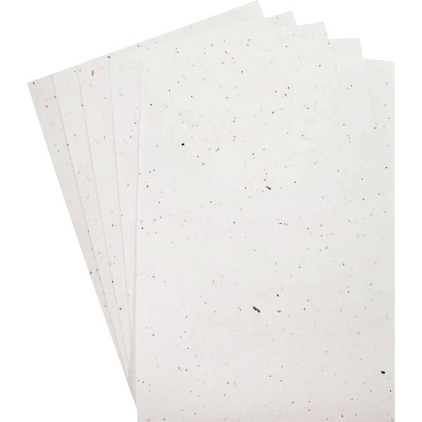 Paquet de 5 feuilles ensemencées format A4, N.C — TRAVAUX MANUELS