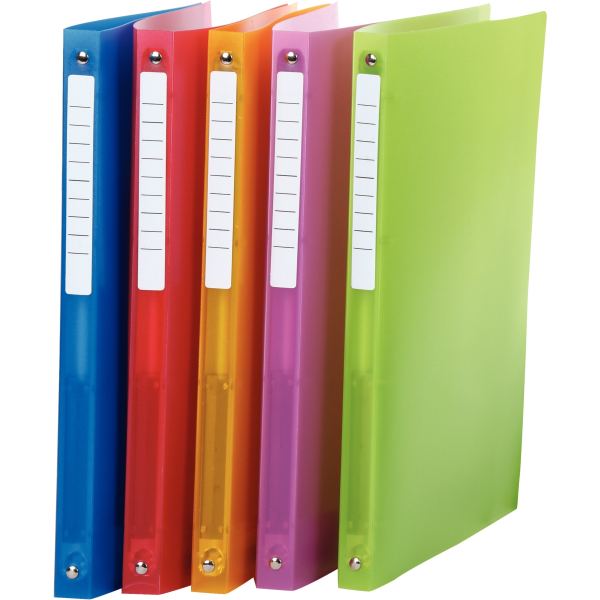 Classeur 4 anneaux en polypropylène COLOR FRESH, format A4, dos 2 cm, coloris assortis — Classement