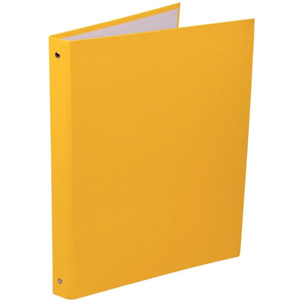 Classeur 4 anneaux en carton plastifié, format A4+, dos 2 cm, N.C — Classement