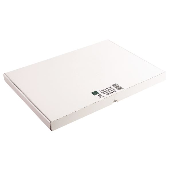 Boîte de 100 fiches bristol non perforées carte forte 205 g uni blanc format 29,7 x 42 cm, N.C — Classement