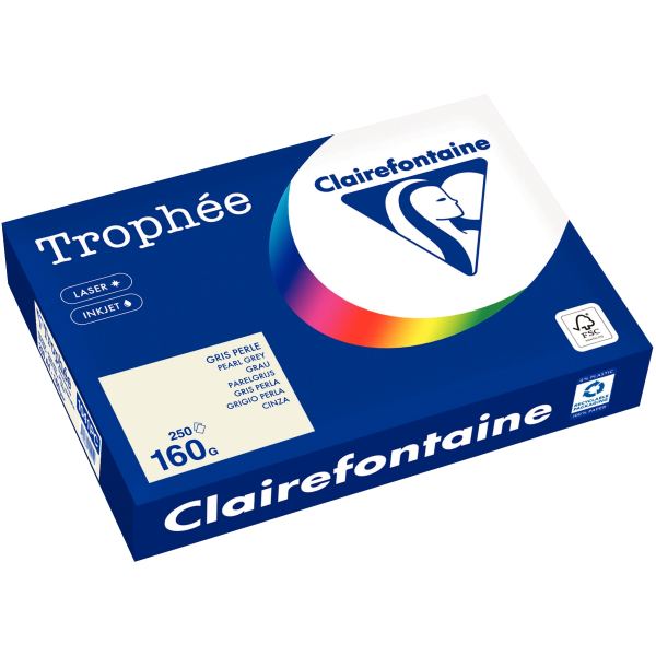 Paquet de 250 feuilles format A4 160g gris CLAIREFONTAINE, TROPHEE — Papiers