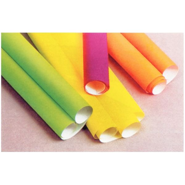 Paquet de 10 feuilles affiches 90g 60x80 cm fluo assortis, N.C — DESSIN SCOLAIRE ET PROFESSIONNEL