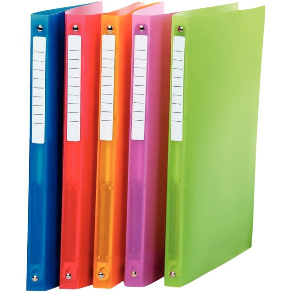 Classeur en polypropylène COLOR FRESH, format A4, dos 2 cm, bleu roi — Non classé