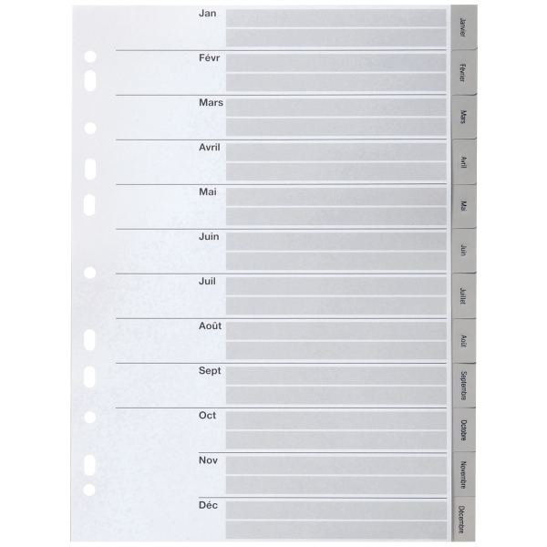 Jeu de 12 intercalaires mensuels en polypropylène gris, form, N.C — Classement