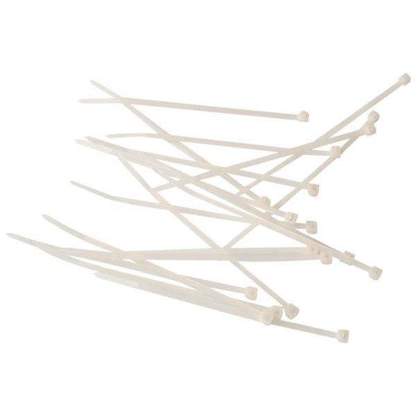 Paquet de 250 scellés nylon blanc 10 cm, N.C — COURRIER ET EXPEDITION
