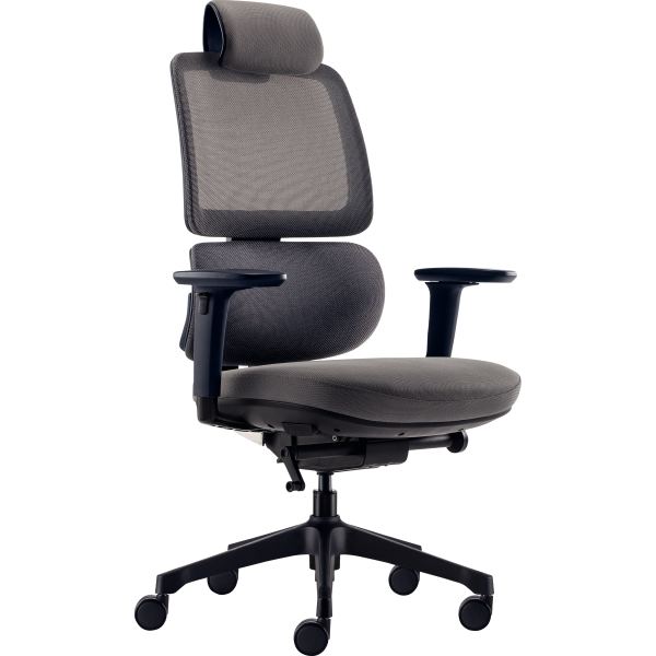 Siège manager ergonomique Slagen anthracite avec têtière, N.C — MOBILIER