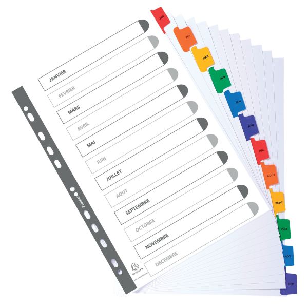 JEU 12INTERC CART MYL MENS A4+ — Non classé