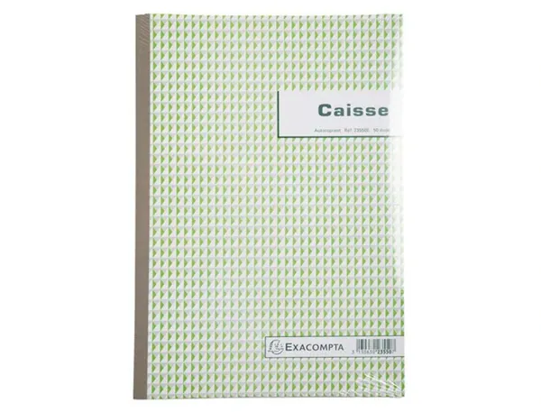 EXACOMPTA Manifold "Caisse", 297 x 210 mm, dupli — Papier, cahier & courrier — vue 4